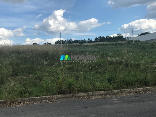 Imagem 14 de 15 de Terreno / Area - Distrito Empresarial - Ref: 4757 - V-mta4757