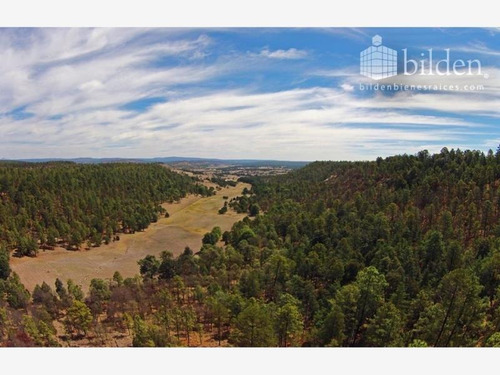 Imagen 3 de 12 de Terreno En Venta Bosques De Llano Grande