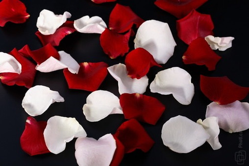 Imagem 6 de 6 de Mil Pétalas De Rosas Artificiais Mistas Vermelho E Branco