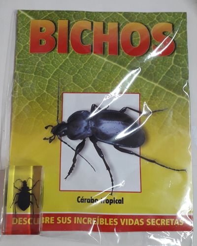 Bichos Carabo Tropical  + Fasciculo - Rba