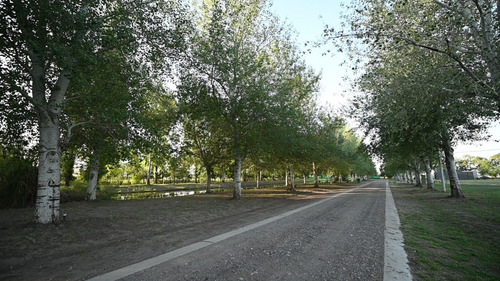 Lote En Venta Barrio Privado Pinares Del Sur Uf55