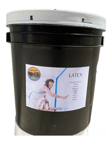 Pintura Latex Interior Exterior 20 Lts