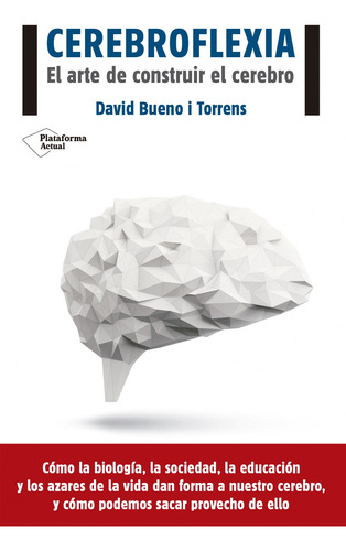 Cerebroflexia - Bueno, David