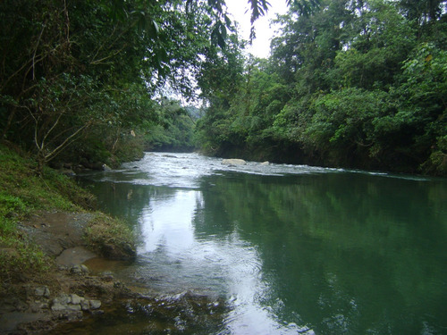 Imagen 8 de 24 de Finca Vacacional- Hosteria