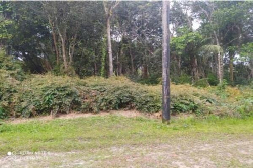 Imagem 5 de 8 de Terreno Para Construir Chácara Com 2 Mil Metros Em Itanhaém No Litoral Sul De Sp