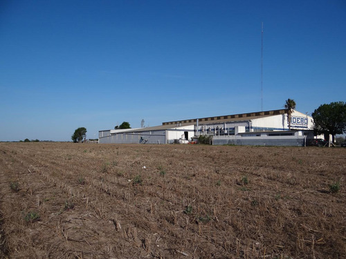 Imagen 5 de 9 de Campo - Alvear