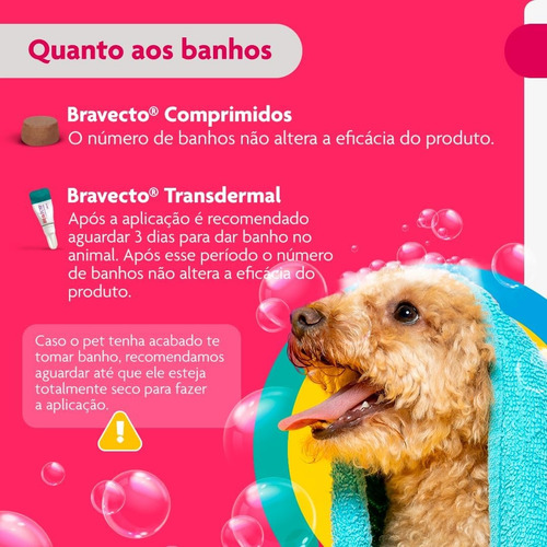 Bravecto Original 250mg Transdérmico Para Cães De 4,5 A 10kg Branco