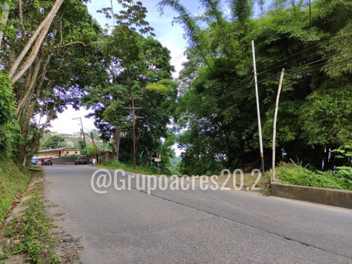 Imagen 4 de 10 de Se Vende Terreno Comercial A Orilla De Calle En San Diego De Los Altos, Edo. Miranda. Rz