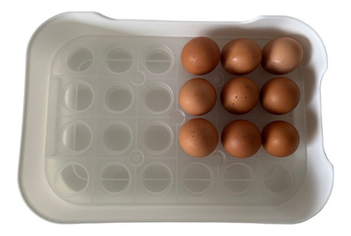 Organizador De Huevos Portátil X 24 