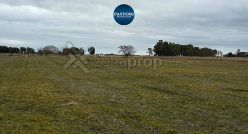 Imagen 10 de 12 de Campo | Las Flores