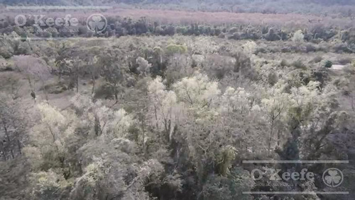 Campo En Venta De 6300 Has En San Ramon De La Nueva Oran
