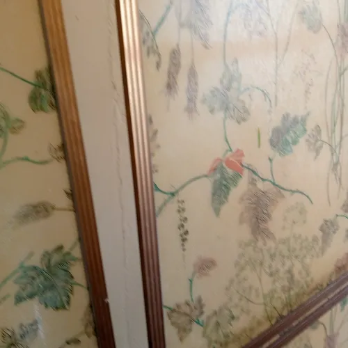 Puertas Para Ducha En Acrílico (Usado)