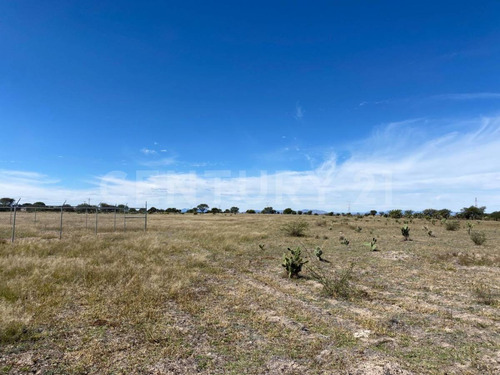 Lote En Venta En Predio El Águila, El Llano, Aguascalientes