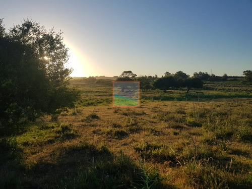 Imagen 5 de 12 de Chacra 7 Hás Rincón De José Ignacio