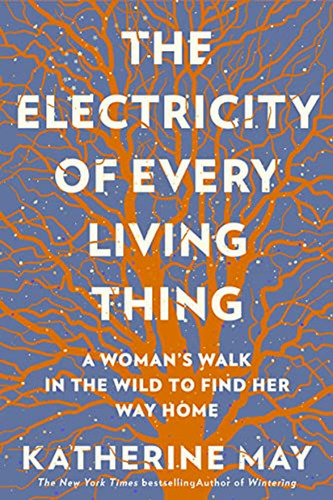 The Electricity Of Every Living Thing: A Womans Walk In The