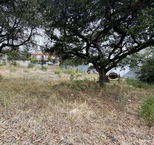 Imagen 6 de 6 de Terreno En Venta En Prado Largo