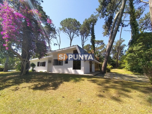 Imagen 7 de 30 de Zona De San Rafael Próximo A Punta Shopping