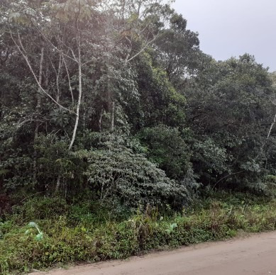 Terreno Perto Da Pista De 300 M² Em Itanhaém | Entrada 7 Mil