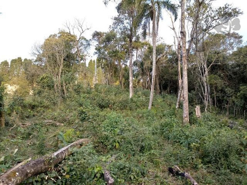 Imagem 1 de 6 de Cód 3907- Ótimo Terreno De 920 M² - 3907