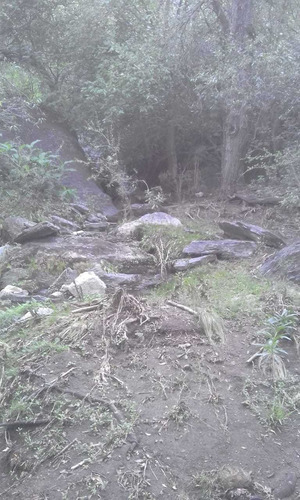Imagen 8 de 11 de Campo En Las Sierras, Montañas Pero En Traslasierra $ 1.500.000 La Hectárea Al 020123