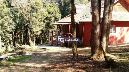 Imagem 2 de 25 de Chácara Com 2 Dormitórios À Venda, 5400 M² Por R$ 319.000,00 - Campestre Da Faxina - São José Dos Pinhais/pr - Ch0013