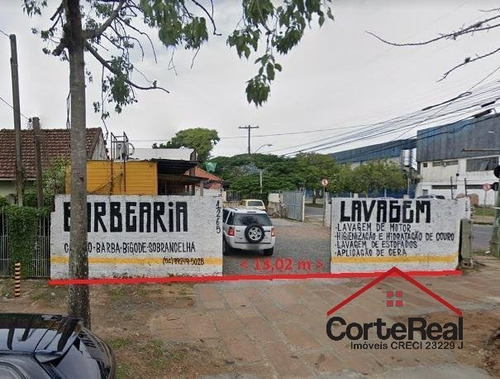 Imagem 8 de 9 de Terreno - Sao Joao - Ref: 14276 - V-14276