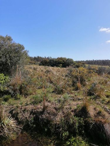 Venta De 30 Hectáreas De Campo En Garzón Maldonado (ref: Ksk-222)