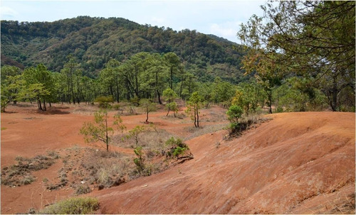 Terreno En Venta En Temascaltepec.