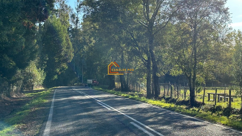 Parcela Hermosa En Sector Faja Maisan. Pitrufquén. Rebajada