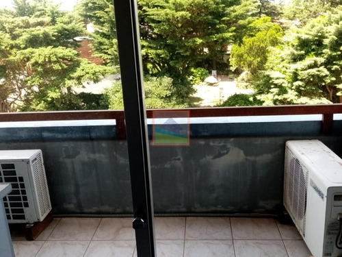 Imagen 3 de 10 de Apartamento Consultorio 1 Dorm En Maldonado Zona Centríca