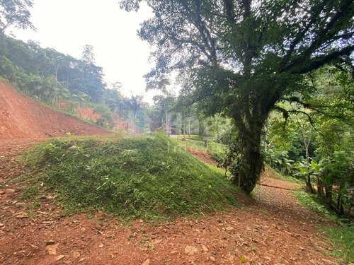 Imagem 12 de 17 de Terreno À Venda No Bairro Moura - Canelinha/sc - 2171t