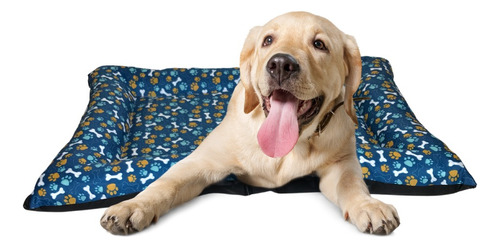 Colchonete Pet Caminha Para Cachorros Cães 60x80 Lavável Cor Azul Desenho Azul