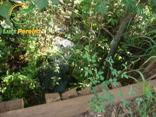 Imagem 1 de 6 de Fazenda Á Venda En Jaraguari- Ms - De 304 Hectares (pecuária) - 1761