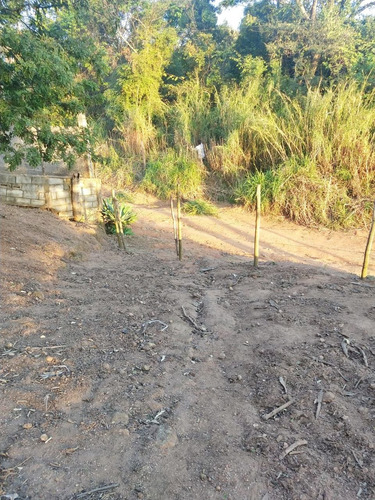 *lindo Terreno*