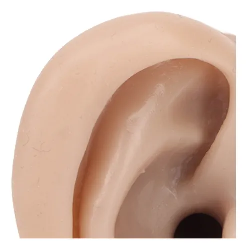 Simulador De Perforación De Silicona, Modelo De Práctica, Su