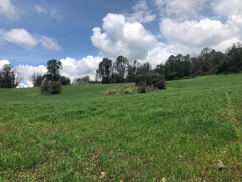 Imagen 12 de 13 de Gran Oportunidad Terreno Arenal Para Rancho