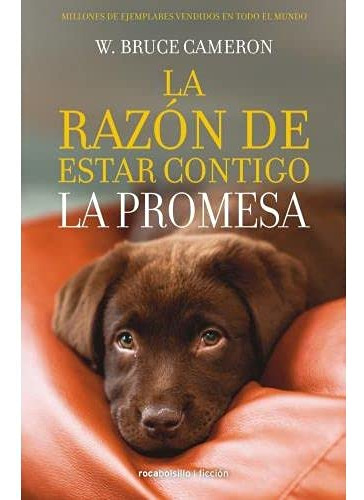 Razon De Estar Contigo 3 La - La Promesa - Cameron Bruce W 