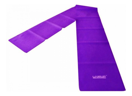 Bola 65 Cm + 2 Mini Bands + Faixa Elástica + Overball 25 Cm