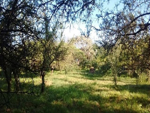 Imagen 4 de 4 de Terreno En Venta Mendiolaza Golf