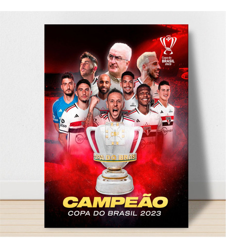 Quadro Placa São Paulo Campeão Da Copa Do Brasil Poster