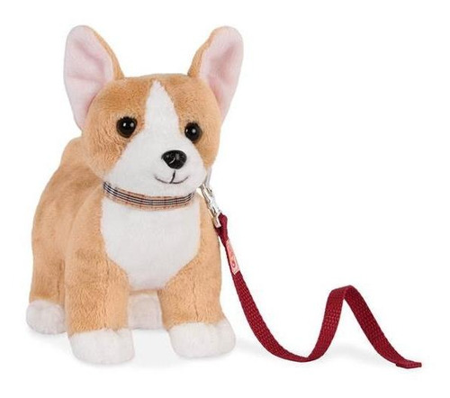 Cachorro Corgi