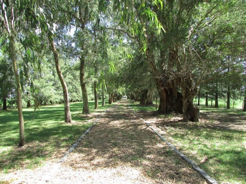 Venta Campo De 58hs Con Casco Moderno En Lobos