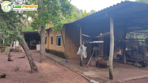 Imagem 15 de 15 de Fazenda Á Venda Em Corguinho/taboco - Ms -551 Hectares (dupla Aptidão) - 2237
