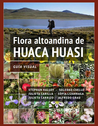 Flora Altoandina De Huaca Huasi - Guía Visual Ed Subtrópico