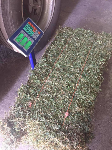 Imagen 2 de 9 de Fardos Alfalfa Cuadrados 1ra