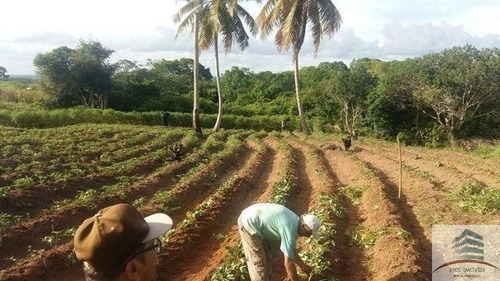 Granja A Venda São José De Pipibú