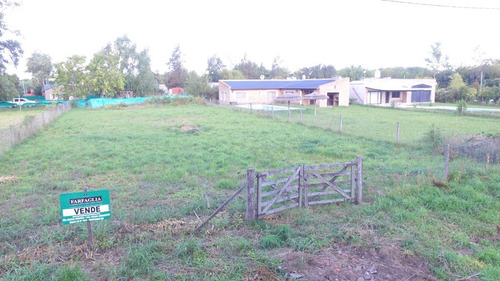 Imagen 4 de 8 de En Venta Lote De 1.000m2 Excelente Entorno Y Ubicacion. A Tan Solo 200 Metros De La Ruta 41 E Ingreso A La Ciudad Por La Av. 40. Barrio Los Alamos .