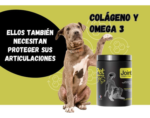 Suplemento Para Articulaciones Perro Petscience Joint Dog