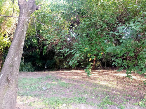 Venta Desarrollo Inversor Housing Lote 3959m2