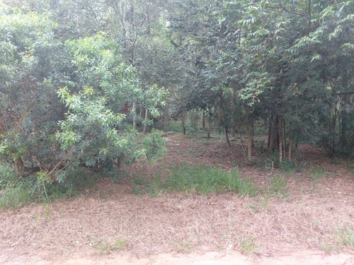 Imagem 8 de 9 de Condominio Terreno Ibiuna A 300 Mts Da Represa, Escritura Ok
